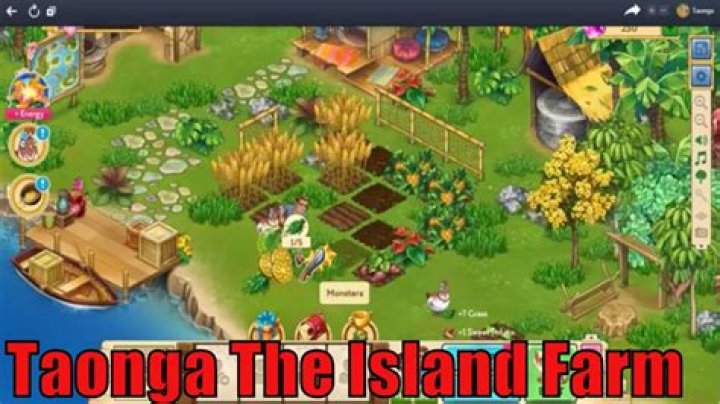 What is taonga farm game?