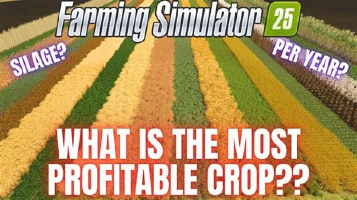What is the most profitable crop in Farming Simulator 19?