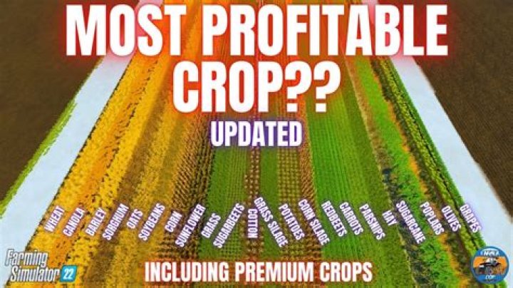 What is the most profitable crop in fs19?