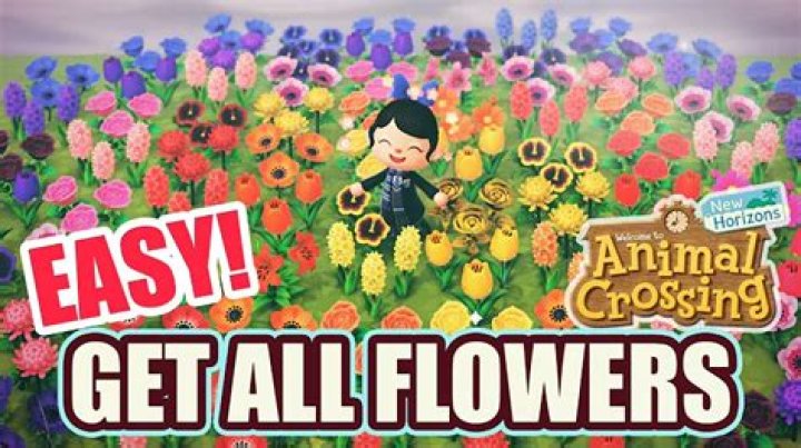 What is the rarest flower in Animal Crossing?