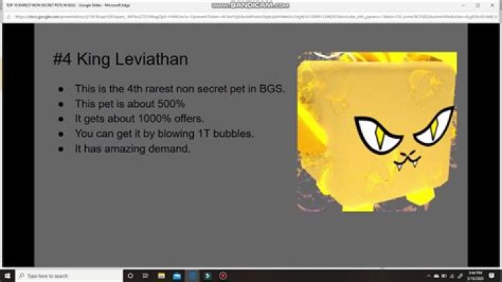What is the rarest pet in BGS?