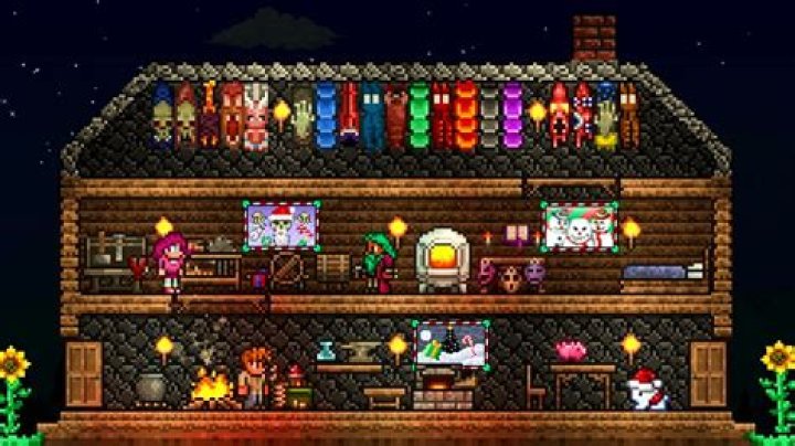 What is the rarest thing in Terraria?