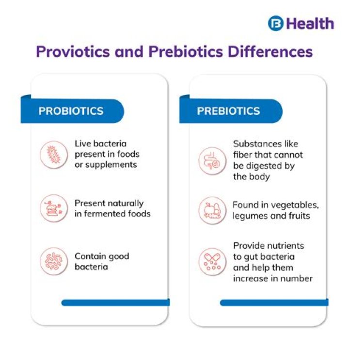What’s the Difference Between Prebiotic and Probiotic Skincare?