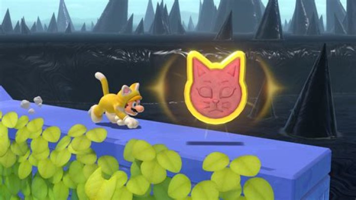 What’s with the cats in Bowser’s fury?