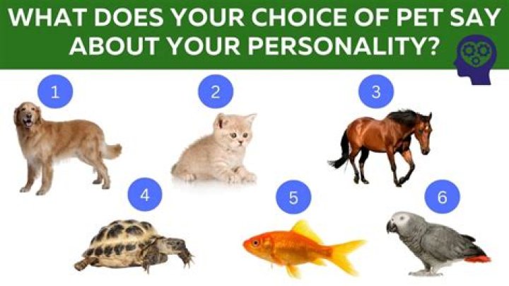What Your Pet Preference Really Says About Your Personality