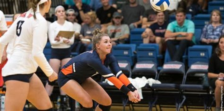 Wheaton College - Illinois Women's Volleyball Program Information