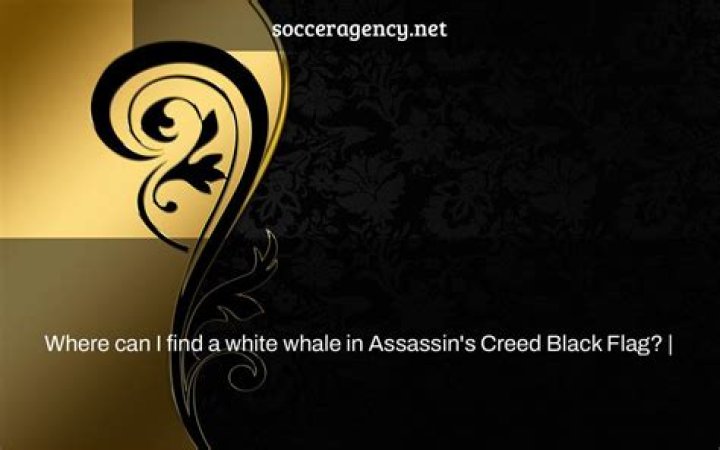 Where can I find a white whale in Black Flag?