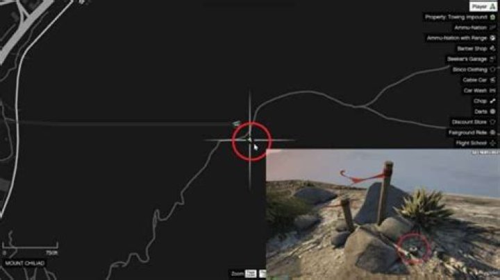 Where can I find Peyotes in GTA 5?