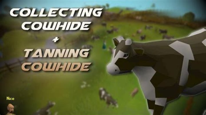Where can I tan cow hides in Runescape?