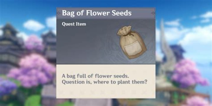 Where do you put bag of flower seeds?