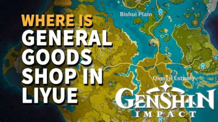 Where is general goods shop in Liyue Genshin impact?