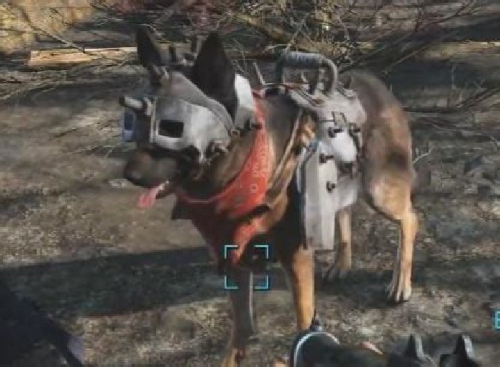 Where to find Dogmeat armor in Fallout 4