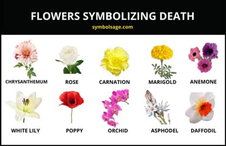 Which flower represents death?