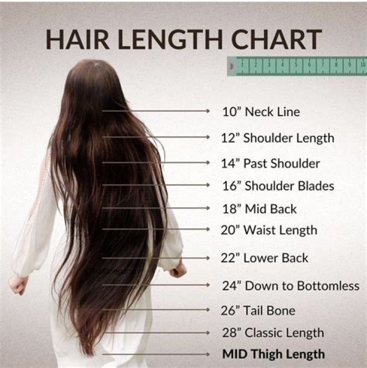 Which One's Best for My Hair?