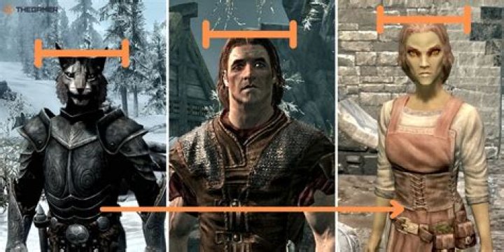 Which race is best in Skyrim?