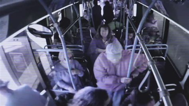 Who Is Cadesha Bishop? New Details On Las Vegas Woman Charged With Murder After Pushing Elderly Man Off Bus