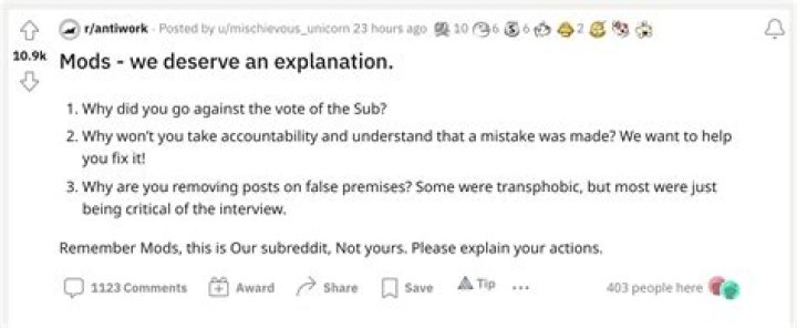 Who is Doreen Cleyre, Subreddit Antiwork Mod? Wiki, Age, Real Name, Interview