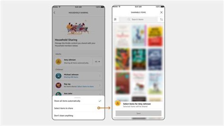 Why can’t I see shared books on Kindle?