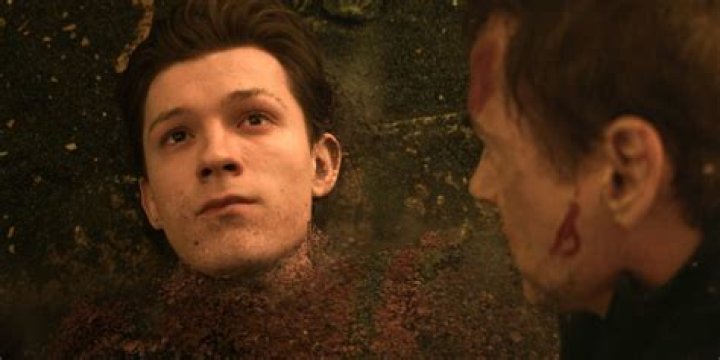 Why did Peter Parker turn down Tony Stark?