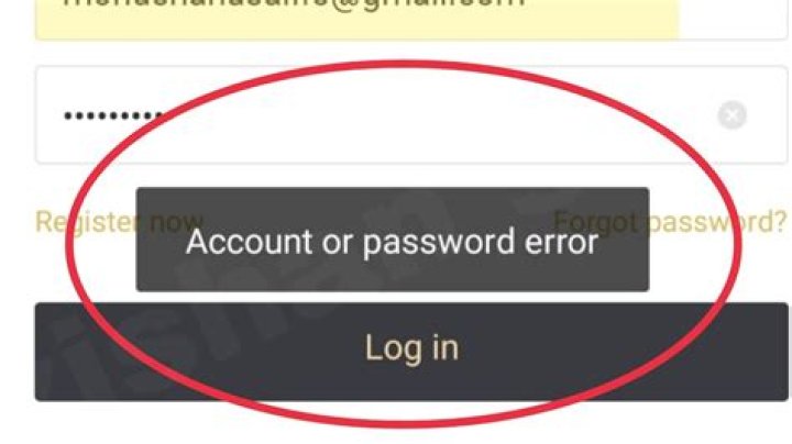 Why does it say account or password error Genshin Impact?