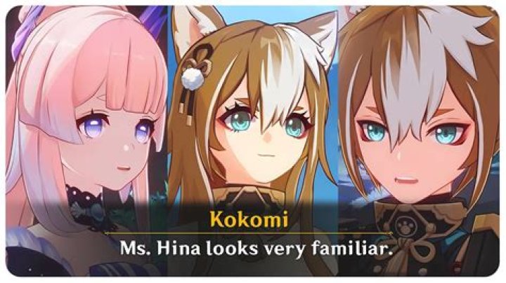 Why does Ms Hina look like Gorou?