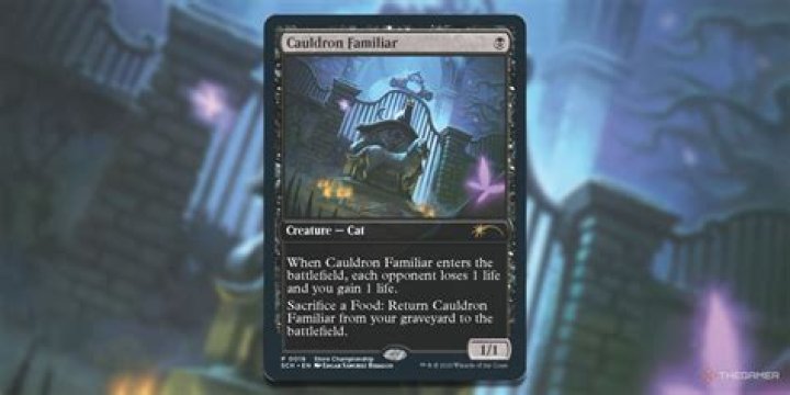Why is cauldron familiar banned?