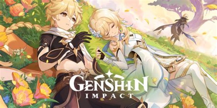 Why is Genshin not an MMO?