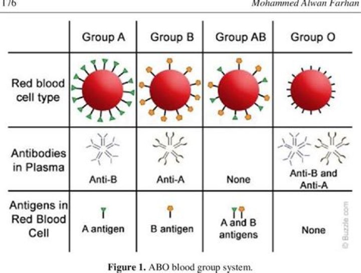 Why Some People Think The Rh-Negative Blood Type Is Actually Alien DNA