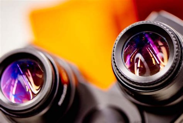 X-ray Diffraction | Faculty of Science, Agriculture & Engineering