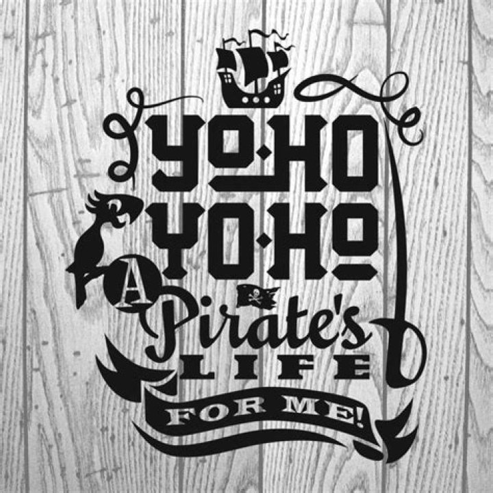 Yo ho! Yo ho! A pirate's life for me! We pillage, we plunder, we rifle and loot!