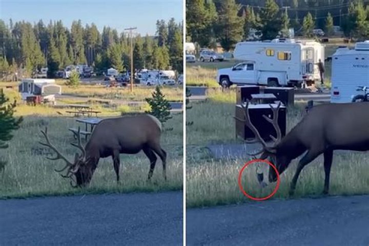 You Can Spend the Night at the Real-Life Yellowstone Ranch