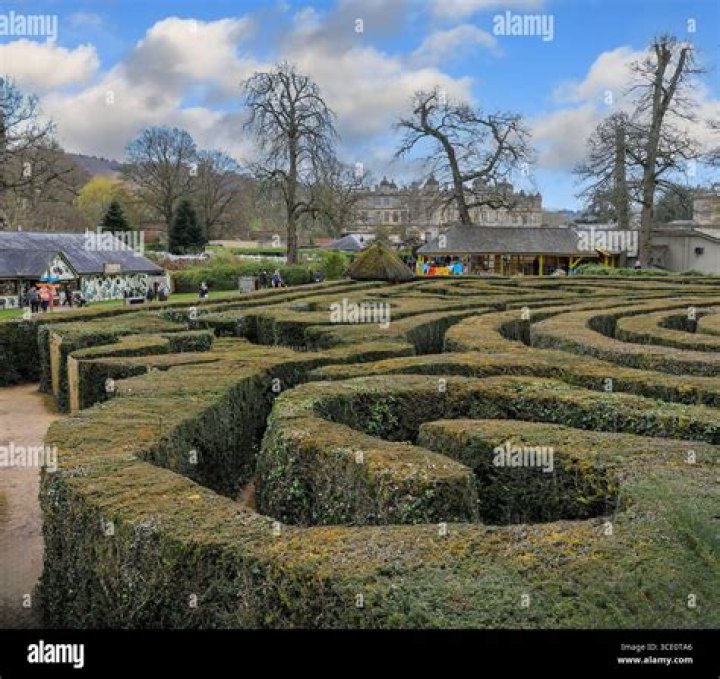 You Can Visit The World's Longest Hedge Maze In Longleat, England