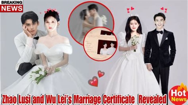 Zhao Lusi Marriage: A Comprehensive Look Into Her Romantic Life
