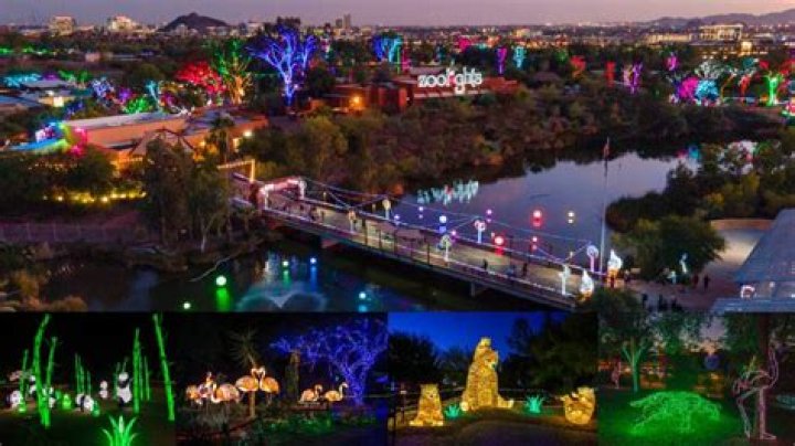 ZooLights at the Phoenix Zoo